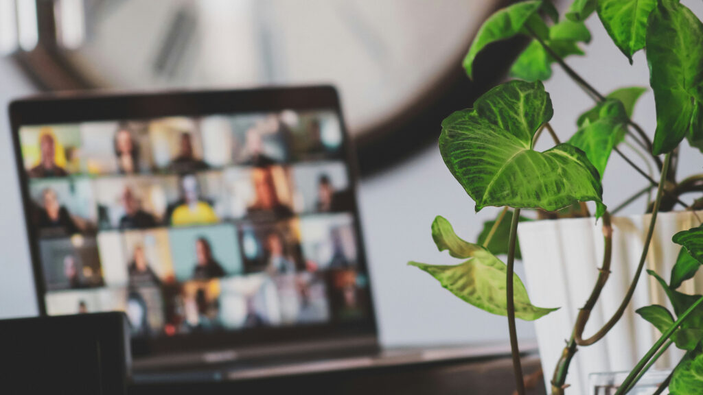 Hybrid peacebuilding concept – online video conference with blurred participants on a laptop, contrasted by a green plant symbolising human presence and growth.